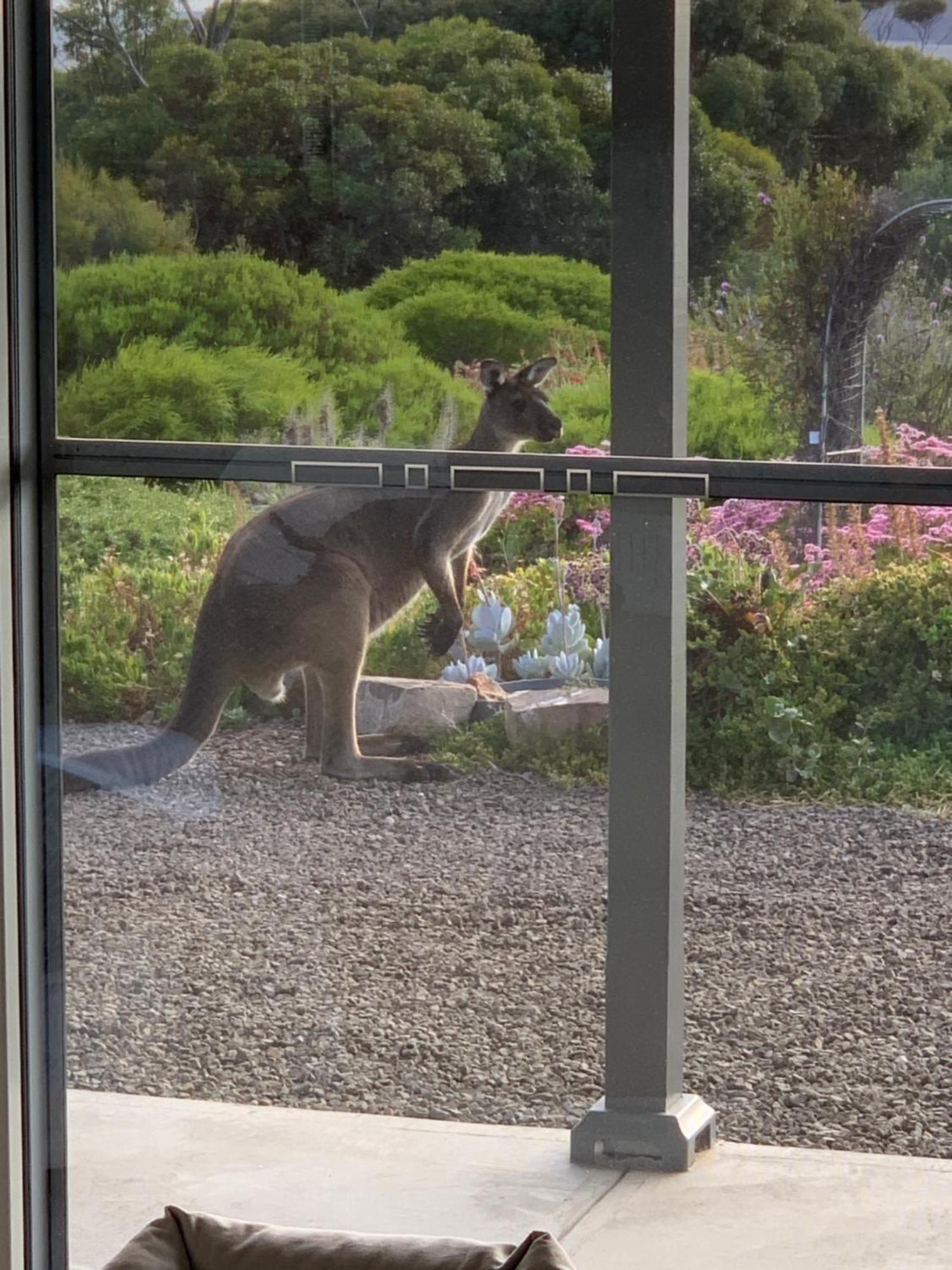 Emu Bay Holiday Homes Luaran gambar